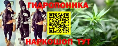 гидропоника Ирбит