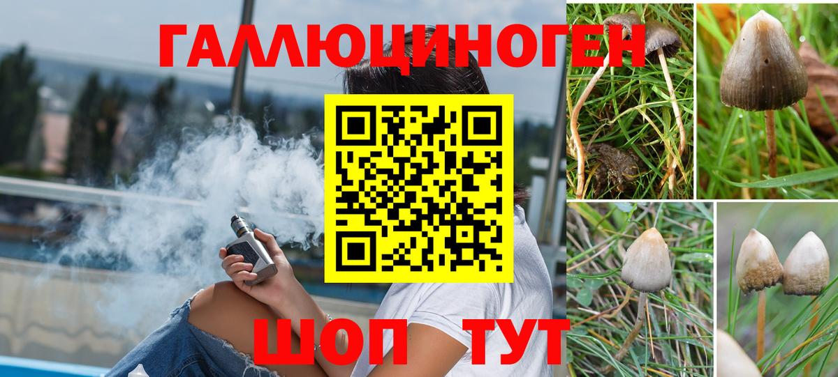 Кизилюрт  Галлюциногенные грибы Cubensis  Вход с VPN 