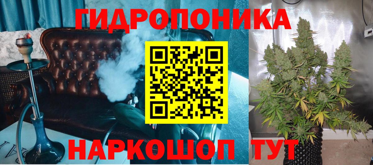 Кизилюрт  Бошки марихуана AK-47  Конопля Bruce Banner  Марихуана планчик  Вход с VPN 